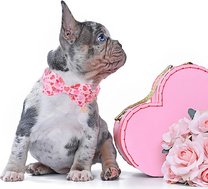 DOGWONG Valentine's Dog Collar with Bow - Cute Heart Bowtie Dog Collars, Adjustable Valentine Pink Heart Pet Collars Design Dog Collar with Quick Release Buckle for Puppy Girl Boy Female Dogs