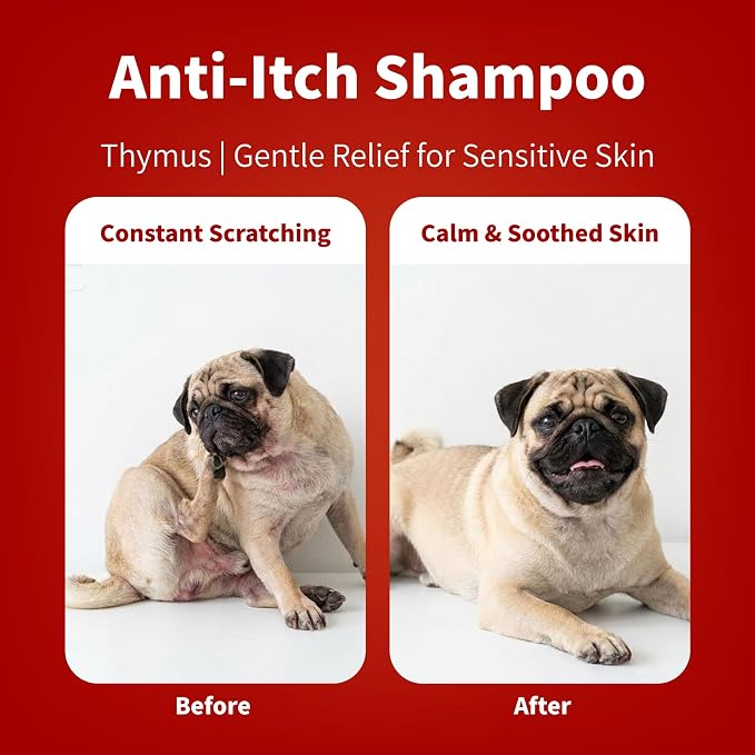 Arf Arf Sensitive Skin Dog Shampoo – Oatmeal & Lithospermum, Itchy, 16.9oz | Lithospermum & Oatmeal for itchy sensitive skin. Odor control for smelly dogs. pH-balanced. Safe for Frenchies & Bulldogs.