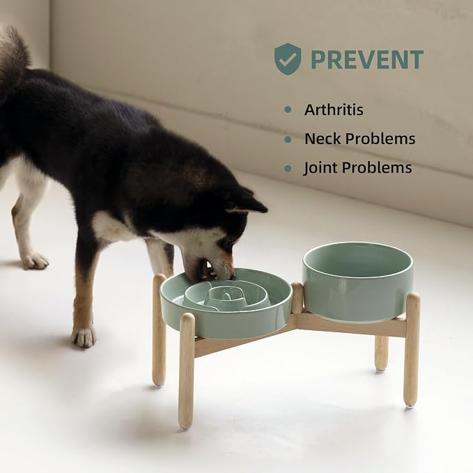 Havniva 8.2” Raised Slow Feeder Dog Bowls Set, 1.6 Cups Ceramic Slow Feeder Dog Bowl and 7.3” Dog Water Bowl with Elevated Wooden Stand Puzzle Dog Food Bowl for Medium Dogs Anti-Gulping & Anti-Choking