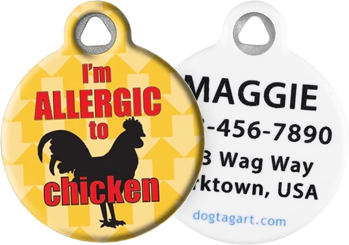 I'm Allergic to Chicken Medical Alert Pet ID Tag | Personalized Dog & Cat Name Tag | Custom Printed Identification | Small 7/8" - Dog Tag Art