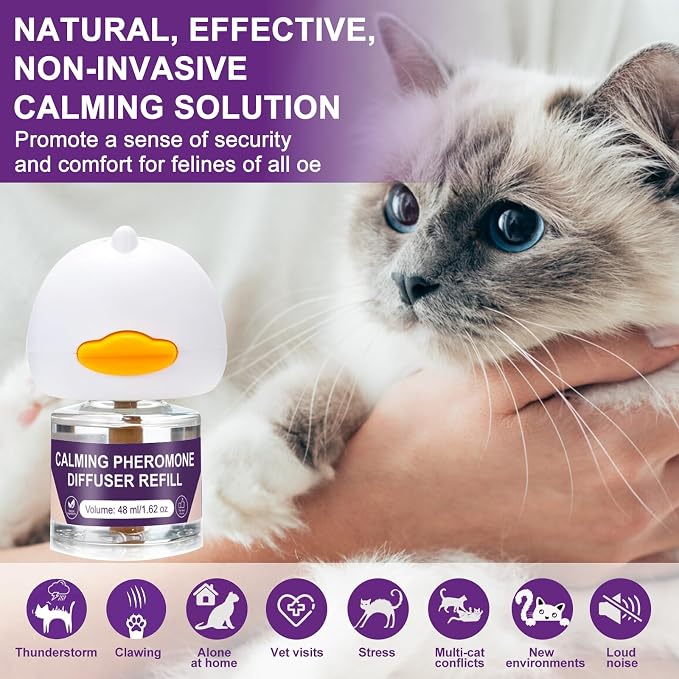SLE Cat Pheromones Calming Diffuser: 1 Cat Calming Diffusers & 3 Refills, Relieve Anxiety Stress Reduce Spraying Fighting and Scratching Fits All Cats & Kittens