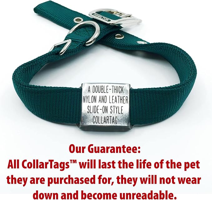 Dog Tag for Thick Collar - Boomerang Tags, Deep Engraved Stainless Steel Lasts Your Pets Lifetime - Slide on Pet Name Tag (Closed End Large for 1 Inch Leather or 2-Ply Nylon Collars with Belt Buckle)