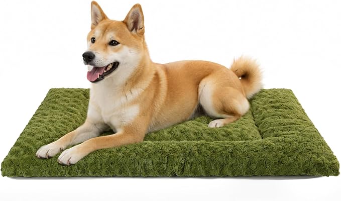 Exsnugy Washable Dog Bed Mat Medium Size Fluffy Pet Crate Pad 36x23 | Non-Slip Bottom Kennel Beds Ultra Soft Comfy Sleeping Mattress for Large Medium Small Dogs Green
