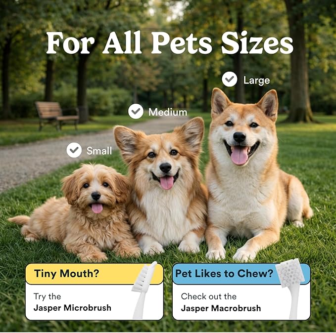 Jasper Dog Toothbrush, 360 Degree Dog Tooth Brushing Kit, Cat Toothbrush, Canine Dental Care & Teeth Cleaning Kit, Pet Finger Tooth Brush, Use with Pet Toothpaste, 4-Pack Blue