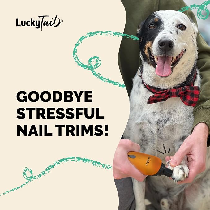 Pet Nail Grinder for Dogs and Cats - Super Quiet and Low Vibration Electric Dog Nail Grinder with 2 LED Lights - USB Rechargeable and Cordless - 2 Speeds - Small to Large Pets - Orange
