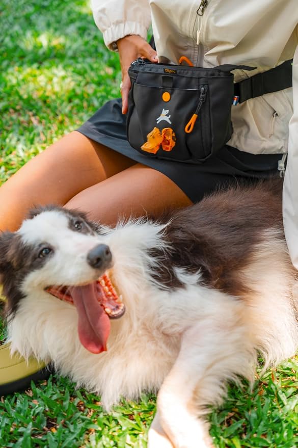 Backcountry Day Bag | Hands-Free Dog Training Treat Pouch | Fanny/Hip Pack with Zipper Closure & Built-in Poop Bag Dispenser | Removable Waist Clip (Raven S'25)
