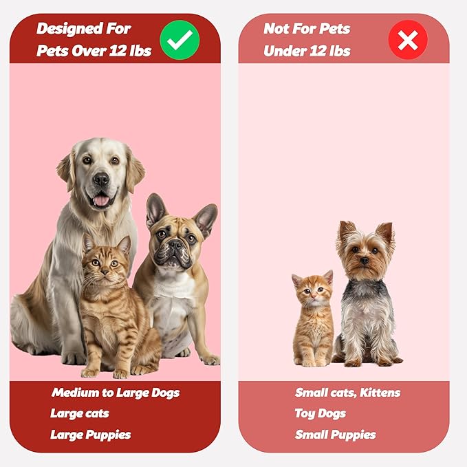 Pet Toothbrush for Dogs, Cats with Soft Bristles - Easy Teeth Cleaning & Dental Care, Non Slip Dual Head Dog Toothbrush for Medium & Large Pets, Toothpaste Not Included, Pack of 1 Red