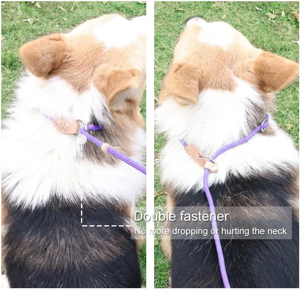Puppy Pet Cat Dog Leash Collar Basic Accessories Reflective Retractable Dog Rope Pet Traction Belt 5FT(Small 0.24IN, 8-22 LB, Purple)