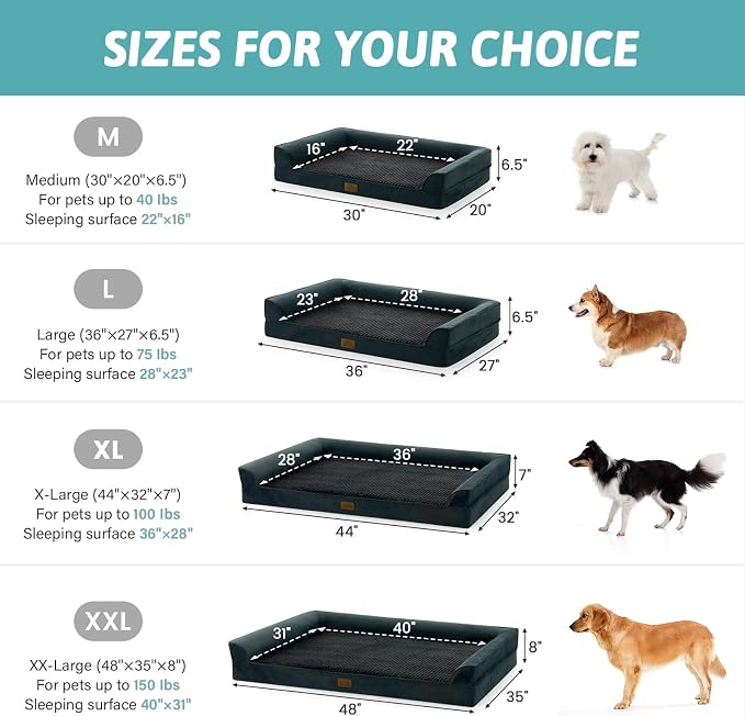 COZY KISS Orthopedic Large Dog Beds, Bolster Pet Couch with Waterproof Lining, Egg Crate Foam Sofa for Pets Up to 65 lbs, U-Shaped, 36x27x6.5 inch, Black