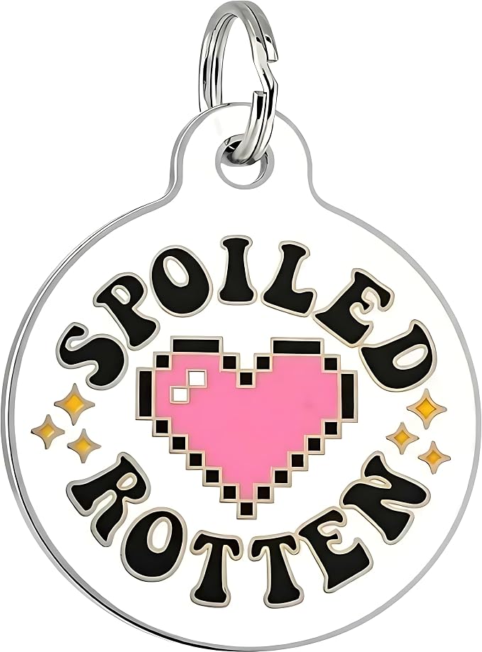 Bad Tags Personalized Dog and Cat ID Tags in 25+ Designs and 2 Sizes - 5 Lines of Custom Engraved Text - Funny Cute Personalized Pet Tags (Spoiled Rotten, Large (1.25 inch))