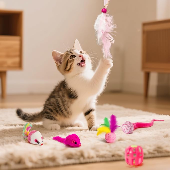 MALLMALL6 Cat Toy Set Interactive Cat Toys 27Pcs Pack Stuff Pink Feather Teaser Wand Springs Mice Sisal Fish Crinkle Balls Bell Balls, Puzzle Pack for Indoor Kitty Play Exercise