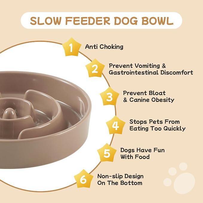 Havniva 6.1” Raised Slow Feeder Dog Bowls Set, 0.9 Cups Ceramic Slow Feeder Dog Bowl and 6.1” Dog Water Bowl with Elevated Wooden Stand Puzzle Dog Food Bowl for Small Dogs Anti-Gulping & Anti-Choking