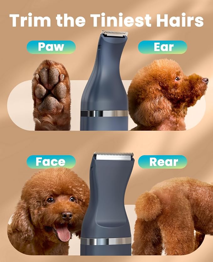 oneisall Dog Paw Trimmer, Small Dog Clippers with Double Blades (Teal) | Low Noise, Gentle Skin-friendly Design, Cordless Precision Pet Hair trimmer for Grooming, for Paws, Eyes, Ears, Face, Rump