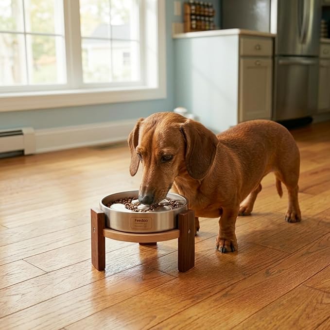 Feedoo Elevated Dog Bowl Stand, 4'' Height Raised Stand for Small Dogs, Includes 1Cup Stainless Steel Slow Feeder Dog Bowl, Durable Solid Hardwood