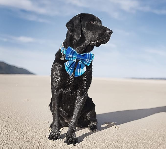 DOGWONG Cotton Blue Plaid Dog Collar, Cotton Dog Collar with Bow Cute Boy Dog Collar Puppy Necklace for Female Small Medium Large Dogs