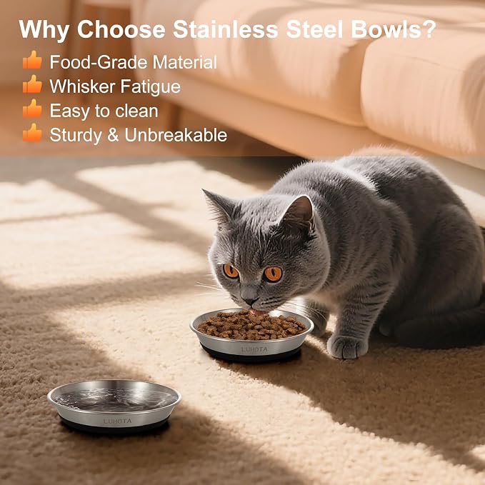 2 Pcs Stainless Steel Cat Bowls, Shallow Wide Food Water Bowls with Non-Slip Silicone Base, Dishwasher Safe for Cats Kittens Small Dogs Indoor Outdoor Use