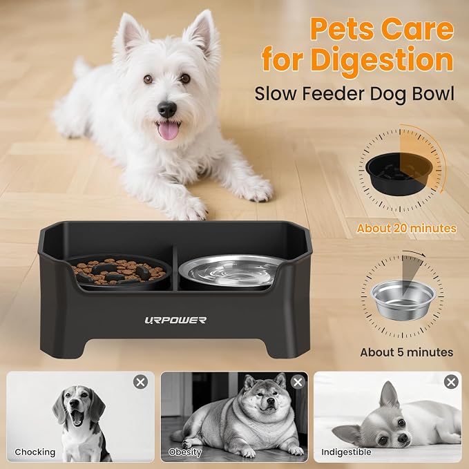 URPOWER 3-in-1 Elevated Dog Bowls - Mess Proof Double Deck 4 Height Adjustable Raised Stand with 2 Stainless Steel Food Bowls & 1 Slow Feeder for Small Dogs