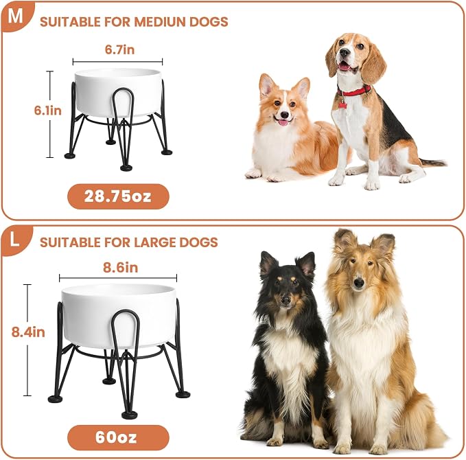 Elevated Dog Bowls, Ceramic Raised Dog Bowl Set with Anti-Slip and Non-Tip Metal Stand, 2 Pack Pet Food and Water Feeding Bowls for Small and Medium Dogs (White,7.6 Cups)
