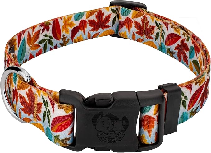 Country Brook Petz - Brisk Autumn Everyday Dog Collar - Made in The U.S.A. - Awesome Autumn Collection Featuring Designs You'll Fall for (1 Inch, Medium)