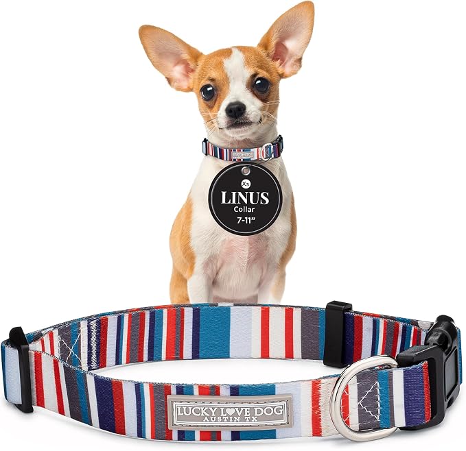 Lucky Love Dog - Adjustable Dog Collar with Easy Click Buckle for Small Dogs, Durable, & Comfortable for Male & Female Dogs, Pet Collar for Puppies & Adult Ones - Linus, XS