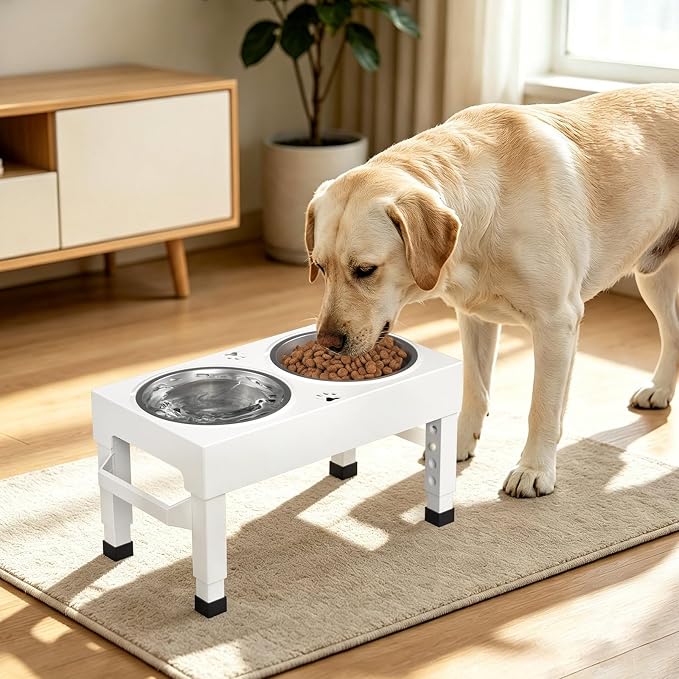 Elevated Dog Bowls Stand Large Breed, Height Adjustable Raised Dog Bowls Holder with 2 Stainless Steel Food Bowls for Small, Medium and Large Canine，White