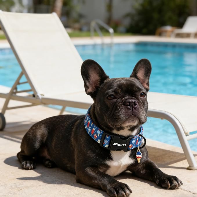ARING PET Summer Dog Collar, Cute Blue Ice Pop Ice Cream 4th of July Pet Collars for Puppy Small Medium Large Female Girl Dogs-L