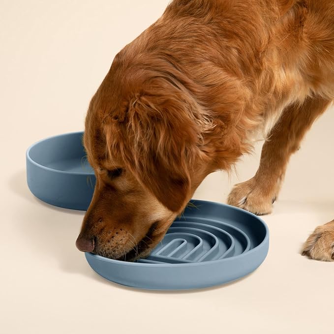 Should We Go? Slow Feeder Dog Bowls - Large Size Silicone Slow Eating Dog Bowl for Puppies & Dogs with Suction Cup -Dishwasher-Safe, Lick Mat Design, Reduces Gulping,for All Breeds,9.5”x1.5”- Ocean