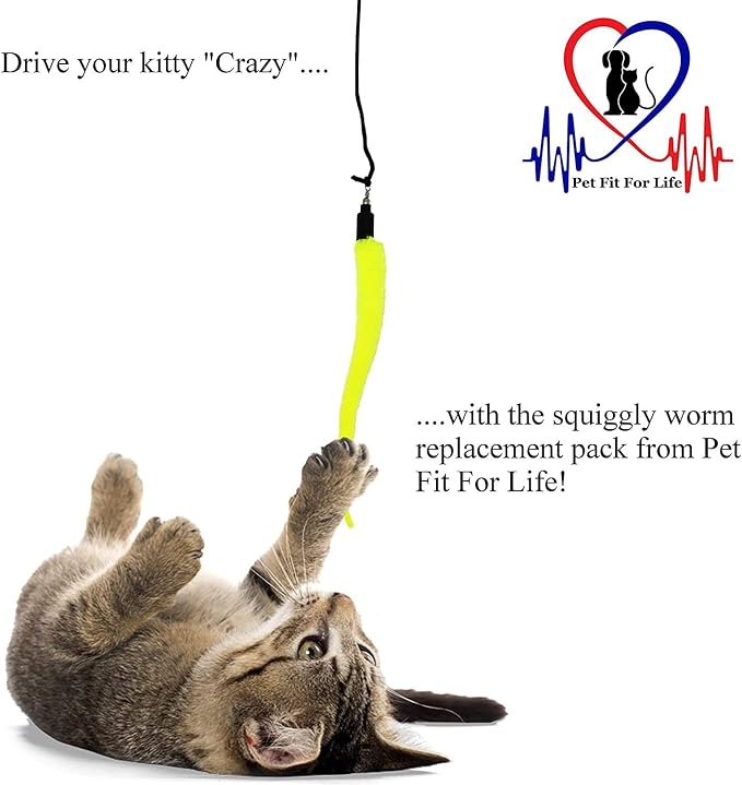Pet Fit for Life 5 Piece Replacement Pack of Worms for Interactive Cat and Kitten Toy Wands