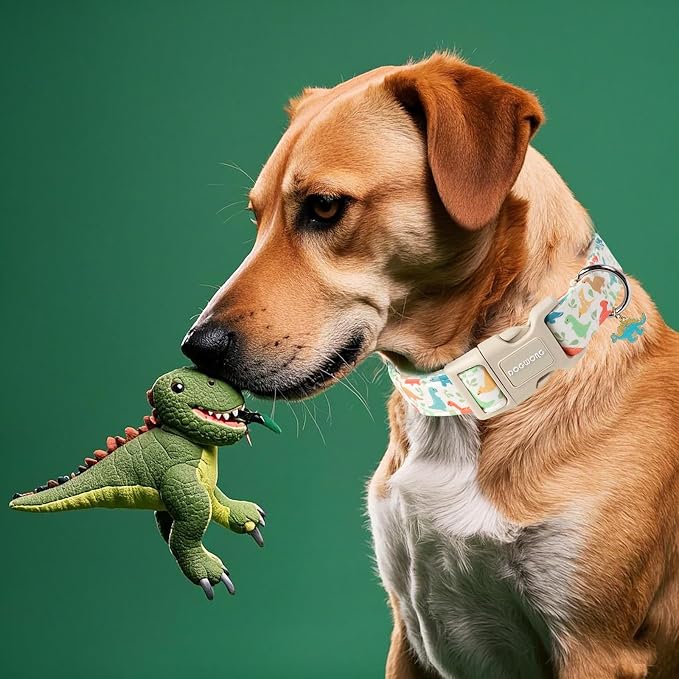DOGWONG Dinosaur Cotton Dog Collar, Summer Cute Dog Collar Durable Soft Fabric Male Pet Dog Collars Boy Puppy Necklace for Small Medium Large Dogs