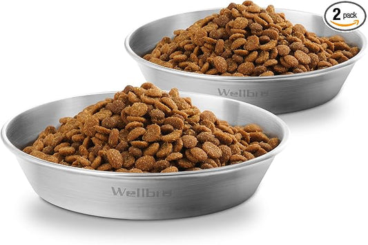 Cat Food Bowls, 2 Pcs Stainless Steel Cat Food and Water Bowls, Whisker Fatigue Shallow Cat Dishes, Small Dog Puppies Fat Faced Cat Kitten Supplies