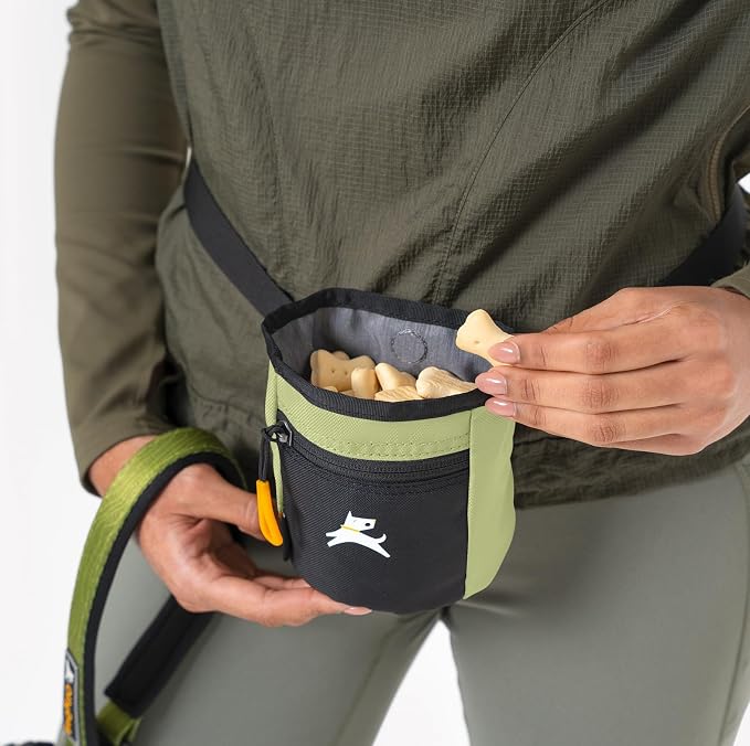 Goodie Treat Bag, Dog Treat Training Pouch | Magnetic Closure | 3 Ways to Wear | Hands-Free Waist Belt | Water-Resistant Recycled Vegan Fabric (Palm)