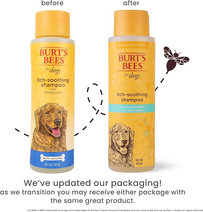 Burts Bees for Pets Itch Soothing Dog Shampoo, Honeysuckle, 16 Fl Oz, 6-Pk | Honeysuckle and aloe, pH-balanced formula, 95%+ natural origin, no sulfates or fragrances