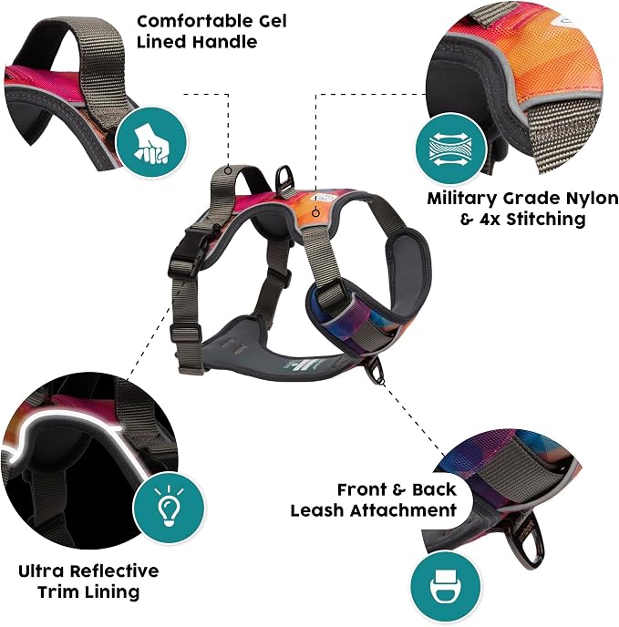 Embark Adventure Dog Harness for Small, Medium & Large Dogs – No Pull, Reflective Trim, Heavy Duty Oxford, 2 Leash Clips, Gel-Lined Handle, Soft Padded