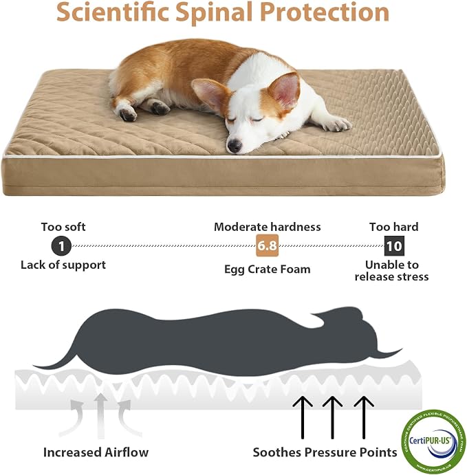WNPETHOME Orthopedic Waterproof Dog Bed Medium for Comfy Sleeping | Washable Medium Pet Bed with Removable Cover, Multi-Needle Quilting Dogs Crate Bed Brown 30x20 Inch