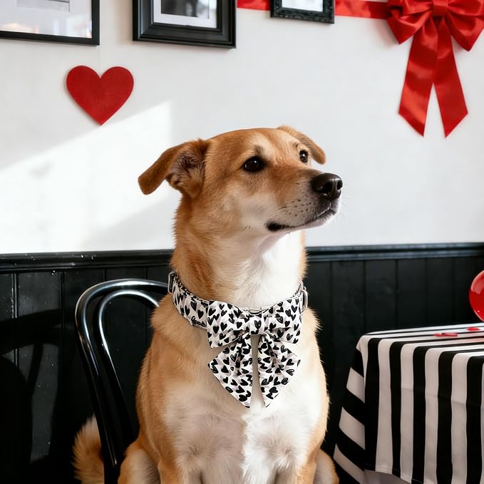 DOGWONG Valentine Dog Collar with Bow, Metal Buckle Adjustable Heart Bowtie Pet Valentine Collars for Small Dogs,XL
