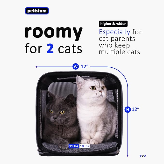 Easy Load Soft Pet Carrier Bag Cat for Medium, Large Cats, Puppy, Sturdy, Collapsible, Comfy, Black w/Blue Trim, L