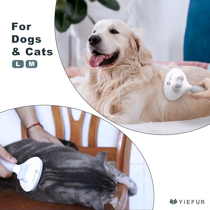 Cat Brush for Shedding, Self Cleaning Brush for Long & Short Hair Cats | Removes Loose Hair,Gentle Massage,For Indoor Cats,Reduces Shedding,Soft Rounded Tips,Ergonomic Silicone Handle,Easy Grooming