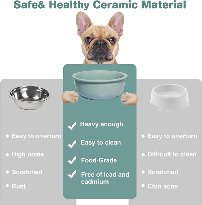 Ceramic Replacement Dog Bowl for Wordcam SS02 Model, 6.9"X2.6", Light Green | Food and Water Bowl Set, for Small Medium Cats, Pet Feeding Dishes for Dogs 20-35lbs, Thicker Ceramic, Anti-Skid, 28Oz/800ML