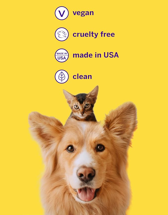 Petsmile Professional Pet Teeth Brushing Kit for Cats & Dogs - VOHC Accepted Toothpaste & Patented Toothbrush - Proven to Control Plaque & Tartar Calprox Formula (London Broil, 2.5 Oz)