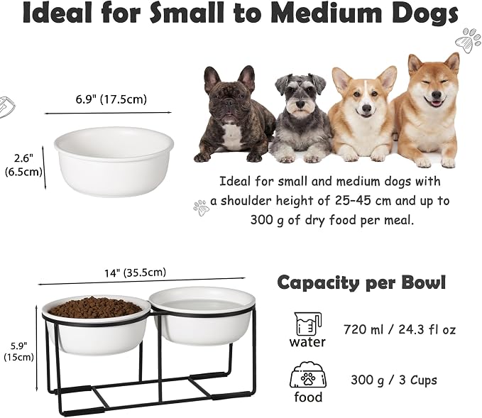 Ceramic Elevated Dog Bowl Set - Raised Food and Water Bowls with Metal Stand - Double Pet Dishes for Small and Medium Dogs - 3 Cups - 24.3 fl oz - Matte White