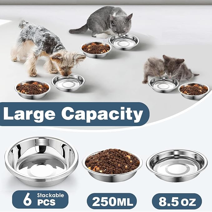 6 PCS Thickened Stainless Steel Cat Bowls, 5.5 Inch Shallow Wide Flat Metal Kitten Food Bowls, Whisker Friendly Fatigue Relief Replacement Basic Pet Dishes for Indoor Cats