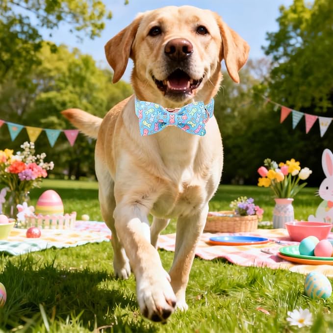 DOGWONG Easter Dog Collar, Blue Bunny Print Dog Collar with Bow, Girl Boy Pet Spring Holiday Dog Collars for Large Dogs,L
