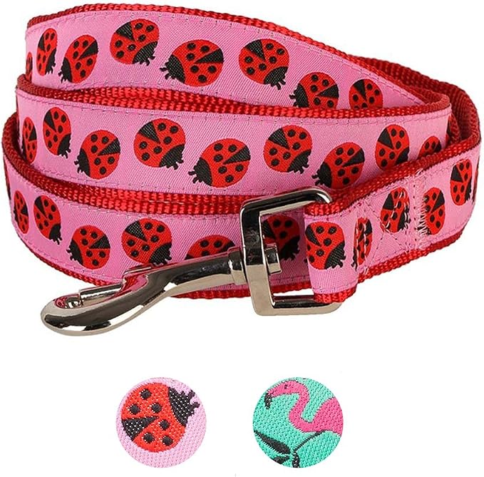 Blueberry Pet Essentials 2 Patterns Durable Pink Webbing Ladybug Designer Dog Leash 4 ft x 1", Large, Basic Nylon Leashes for Dogs