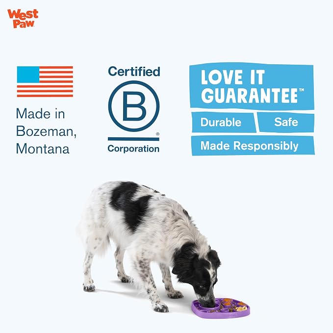 West Paw Seaflex Bubbles Feast Mat – All-in-One, Slow Feeder, Lick Mat – Encourages Foraging & Food Exploration - Engages Picky Eaters & Slow Feeding - Versatile – Easy to Clean, Non-Toxic - Mint