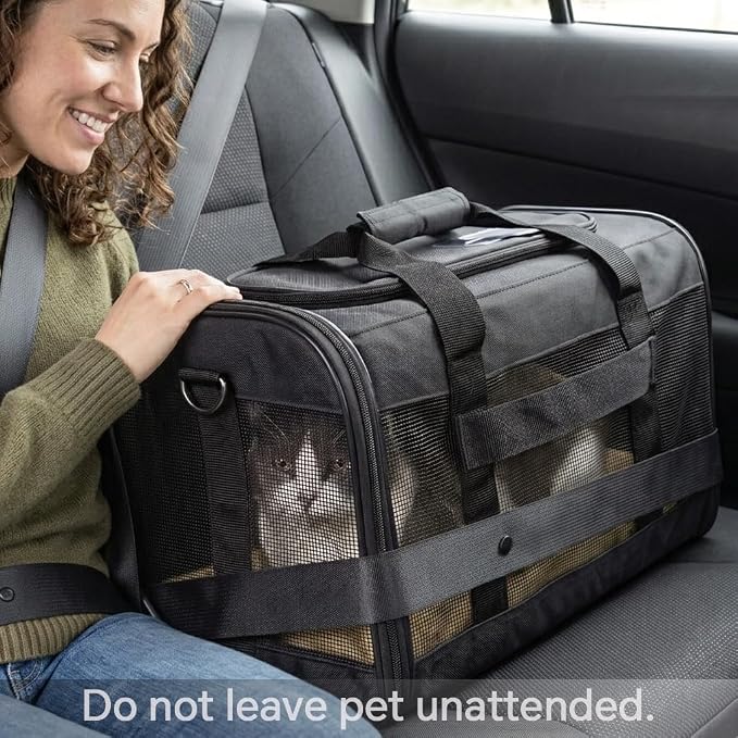 Conlun Dog Carrier Soft Sided, Large Cat Carrier with Inner Safety Leash, Pet Transport Carrier for Large Cats and Medium Dogs up to 20 Lbs, Collapsible Travel Puppy Carrier Bag -Pink L