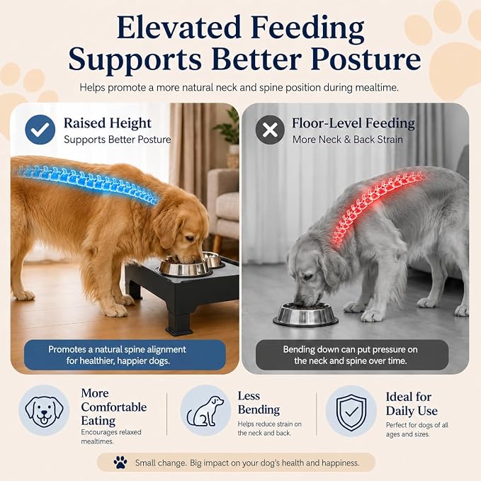 Raised Dog Fountain Stand with Absorbent Diatomite Mat, Adjustable 3.5" & 6" Dog Water Bowl Stand, Helps Keep Floors Dry, Elevated Pet Fountain Base for Dog Fountains, Feeders & Bowls(Stand Only)