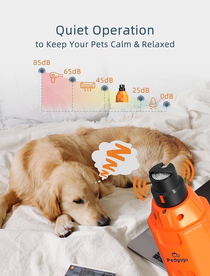 6-Speed Dog Nail Grinder & 3 Grinding Heads Super Quiet 45dB with 2 LED Lights 12000RPM Pet Nail Grinder& 3 Grinding Ports Dog Nail Trimmer for Large Medium Small Dogs with Dust Cap