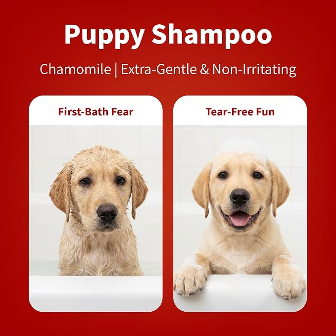 Arf Arf Tearless Puppy & Kitten Shampoo – Oatmeal & Honey, Gentle, 16.9oz | Tearless & gentle for first baths. Chamomile soothes sensitive skin. pH-balanced (6.5–7). Safe for puppies & kittens.