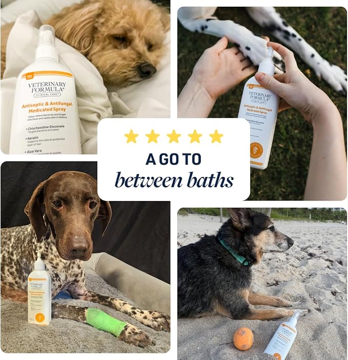 Veterinary Formula Clinical Care Antiseptic/Antifungal Spray, 8 oz, 2-Pack | Helps Soothe Red, Scaly & Greasy Skin, 2-Pack
