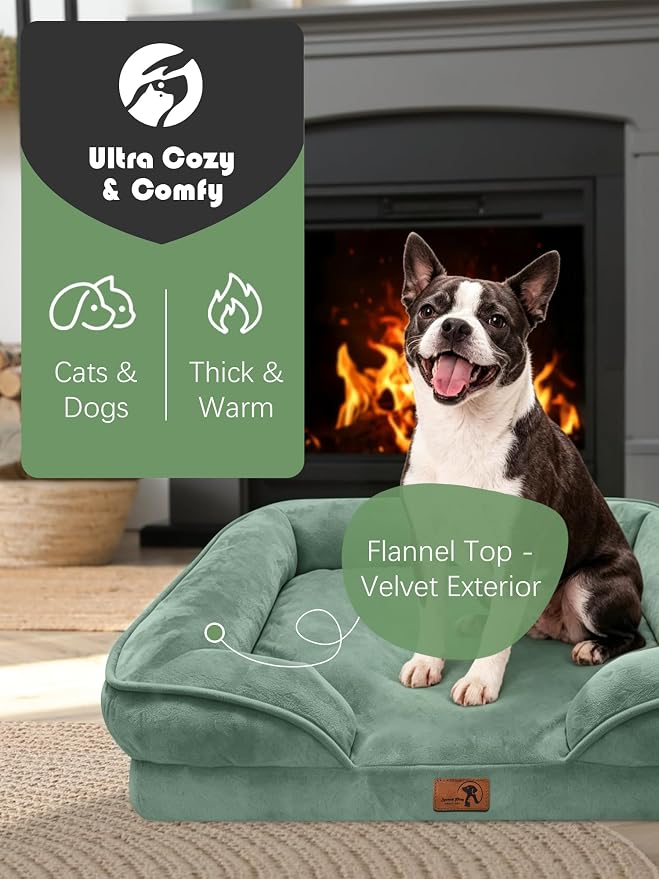 Spotted Play Orthopedic Dog Bed with Sides - Sofa Beds for Small Dogs, Supportive Foam Pet Couch Bed with Washable Removable Cover, Waterproof Lining and Non-Slip Bottom, Green - S